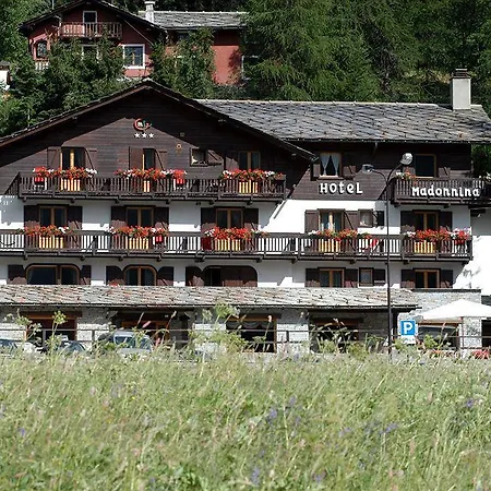La Madonnina Del Gran Paradiso Wellness 4* Cogne